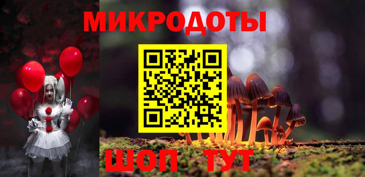 Псилоцибиновые грибы Psilocybe Каспийск